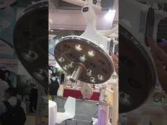 Het ziekenhuis zette het Veterinaire LEIDENE Plafond Tandsugical-Lamp op