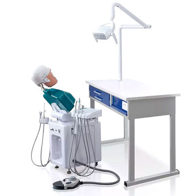 OEM praktische Phantom Head Dental Simulator A1 A3 A15 voor studenten