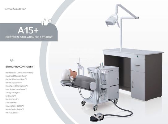 OEM praktische Phantom Head Dental Simulator A1 A3 A15 voor studenten