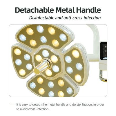AC 15V-24V tandheelkundige LED-lamp, multifunctionele LED-verlichting voor tandartspraktijken