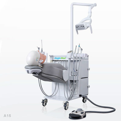 College School Phantom Head Dental Simulator Duurzaam voor tandheelkunde