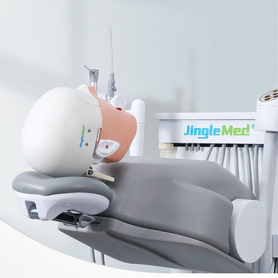 College School Phantom Head Dental Simulator Duurzaam voor tandheelkunde