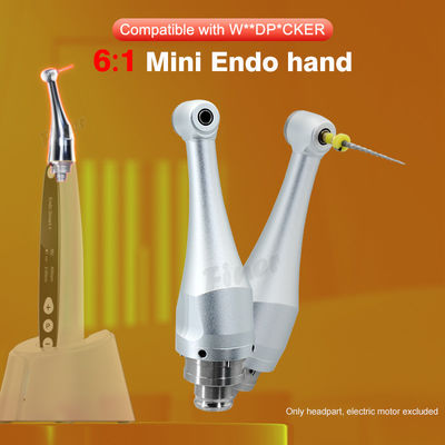 6/1 Tandheelkundige Endodontische Handstukkop Voor Endomotor Wortelkanaalbehandeling 4.0N.cm
