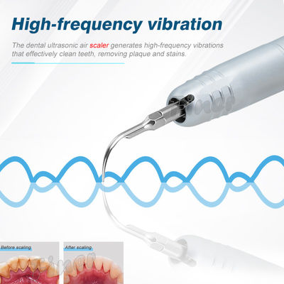 Ultra Sonic 2/4 Holes Dental Air Scaler Handpiece Filling Tandreinigingsmachine