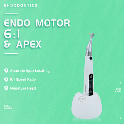 Endomotor 6: 1 met Apex elektrische motor voor endotherapie tandheelkundige endomotor