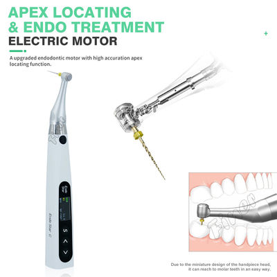 Endomotor 6: 1 met Apex elektrische motor voor endotherapie tandheelkundige endomotor